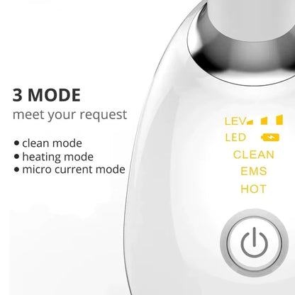Face & Neck Massager